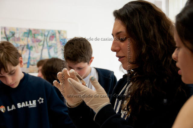 EXP AULA (2013) 0071 PD