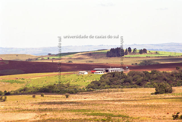 ECUB 1493 NF