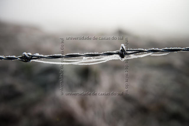 EST INV (2014) 0116 PD