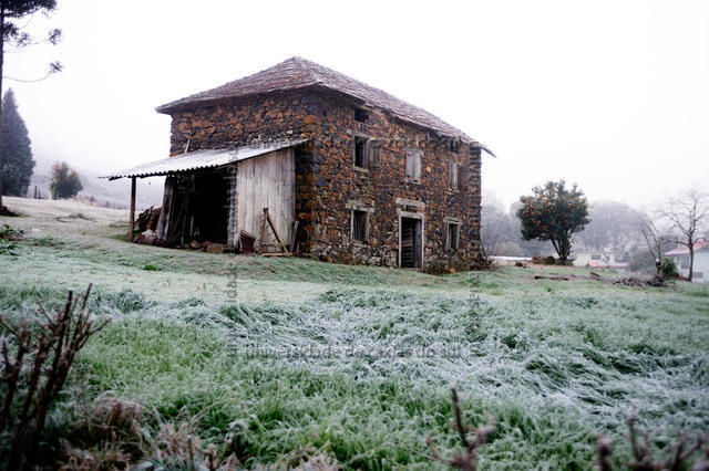 EST INV (2009) 0159 PD