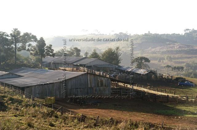 ECAMP 2409 PD