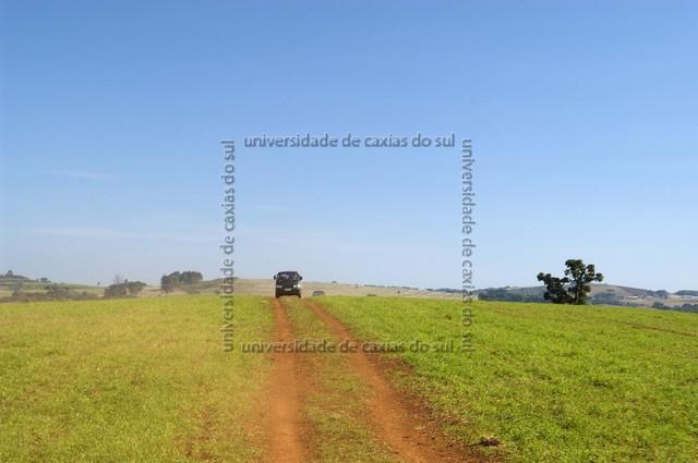 ECAMP 2460 PD