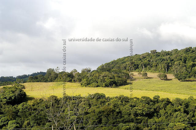 ECANTAS 0147 PD