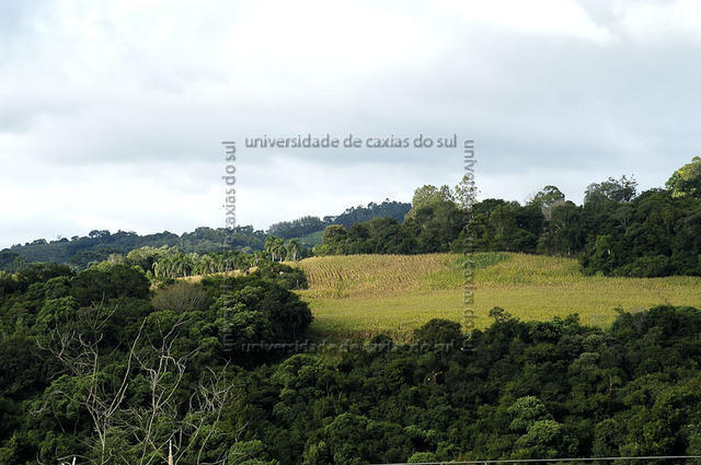 ECANTAS 0148 PD