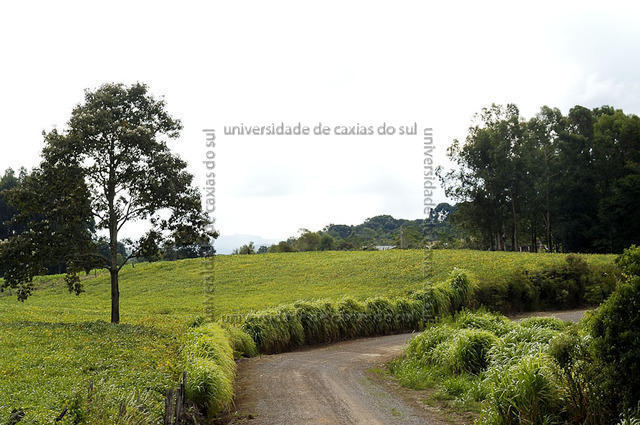 ECANTAS 0149 PD