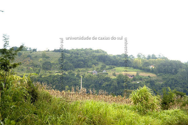 ECANTAS 0162 PD