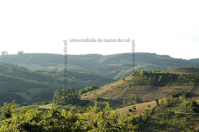 ECANTAS 0352 PD