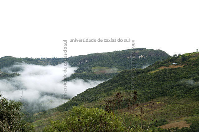 ECANTAS 0369 PD