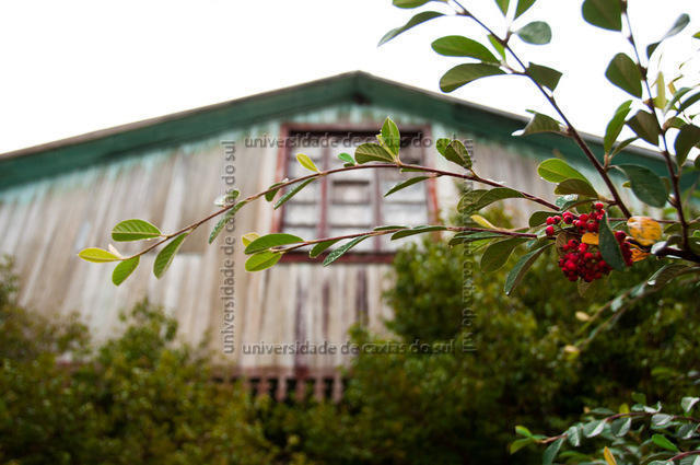 FLORES ABT (2013) 0013 PD