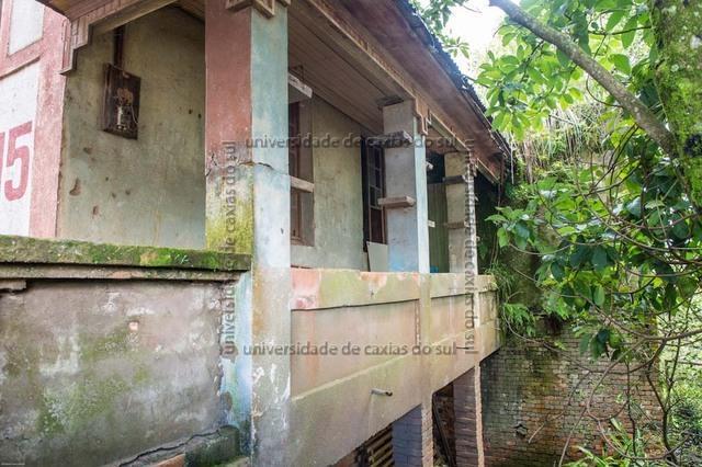 FLORES ATO (2013) 0080 PD
