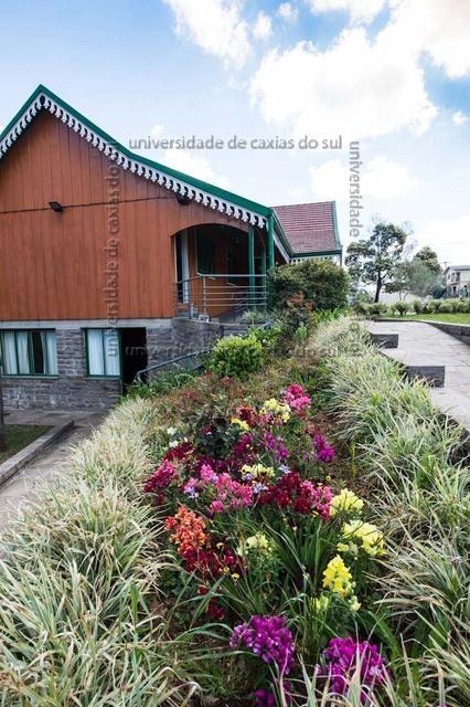 FLORES ATO (2013) 0239 PD