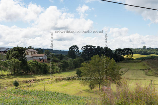 FLORES ATO (2013) 0110 PD