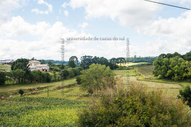 FLORES ATO (2013) 0111 PD