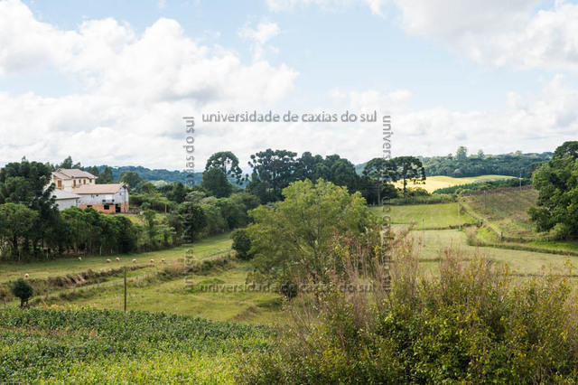 FLORES ATO (2013) 0112 PD