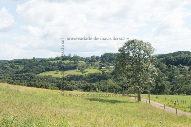 FLORES ATO (2013) 0160 PD