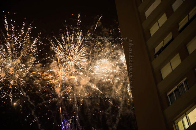 FUVA (2014) (ATO) 0276 PD