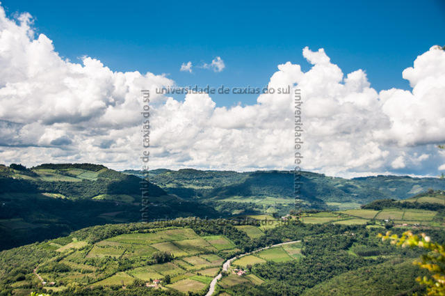 BELO ABT (2014) 0002 PD