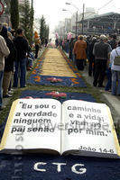 ECANTAS 3334 PD