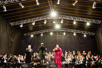 FUVA (2014) (ABT) 0222 PD